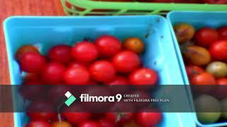 PART 9 PROMOSHEN VIDEO FOR EJS VEGETABLE STAND PRO EDITED VIDEO 2019