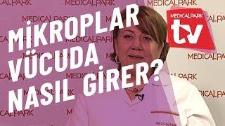 Mikroplar Vücuda Nasıl Girer   Medical Park   TV