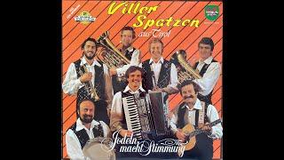 Viller Spatzen - Auf meiner Harmonika