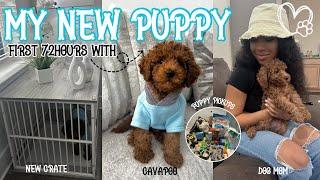 GETTING MY NEW CAVAPOO PUPPY | FIRST 72HOURS VLOG ᥫ᭡ | shopping, puppy prep, adjusting +more