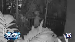 Man caught on camera stealing box from Miami home that contained dog's ashes