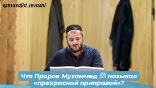 Что Пророк Мухаммед ﷺ называл «прекрасной приправой»?