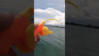 Pancing mainan dapat ikan kerapu | Toys rod fishing challenge #shorts