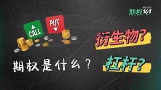 赌球赛马和期权有什么关系？-- 美股期权的本质 (期权101)  What are Options (Options Trading for Beginners 2023)