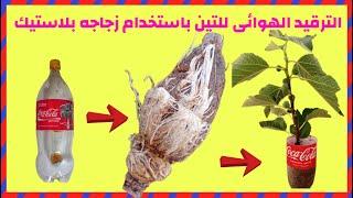 الترقيد الهوائى للتين  هتنجح معاك ولو كنت اول مره تعملها