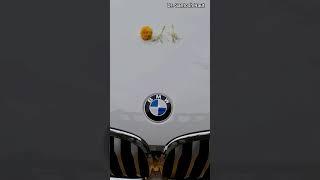 BMW : Sheer Driving Pleasure...