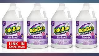 OdoBan Multipurpose Cleaner Concentrate 4 Gallons, Lavender Scent, 4 Pack, Odor revieww