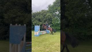 Jumping lesson last week  #horse #showjumping #lesson #equestrian