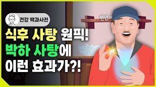 식후 박하 사탕을 먹어야 하는 과학적인 이유!?  @세모지