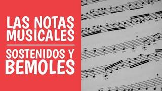 Aprende las Notas Musicales [Do, Re, Mi...] ¿Qué son los Sostenidos y Bemoles?