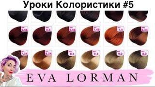 5 Урок Колористики / Краска для волос / Палитра красок / Как разобраться в палитре красок