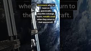 Space smells like burnt steak!  #facts #science #mindblowing