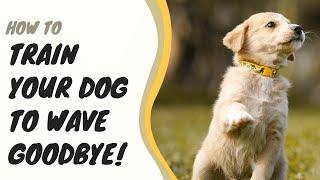 How to teach your dog to wave bye