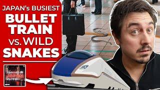 Japan’s Busiest Bullet Train Route Halted By Snake | @AbroadinJapan #167