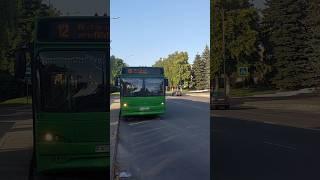 МАЗ-105Огромный респект водителю,красиво выехал!#maz #automobile #liaz