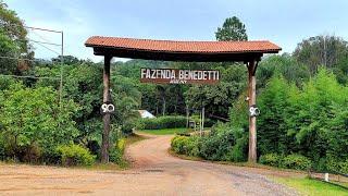 TURISMO COM CASSIMIRO RURAL, Fazenda Benedetti desde 1929!! Serra Negra-SP