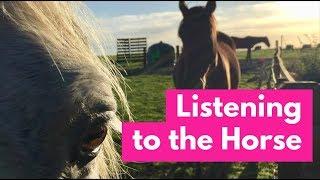 Listening to the Horse Documentary -  Full Length Horse Movie Part 1 of 7 (episode 1) - Elaine Heney