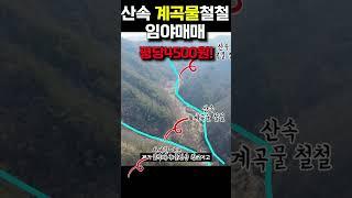 산속 계곡물 철철 흐르는 임야매매~평당4500원~ #shorts 세상사는 부동산