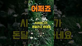 남편 보험금 어쩌죠 실제사연 #삶의지혜 #명언 #좋은글 #노후 #지혜 #인생조언 #노후인생 #오디오북 #인생명언 #사연 #사연라디오 #사연읽어주는여자