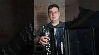 Три белых коня | На баяне