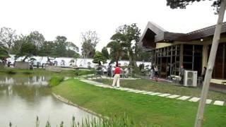 Lingnan Penjing (Southern Bonsai) Show in Daliang, China