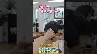 #낮은상고#중간상고#높은상고#남자커트교육#남자는머리빨#이용학원#상고머리자르기#질감처리#남성컷트#컷트교육#남자커트교육#신설동이용학원#바리깡#바리깡배우기#틴닝