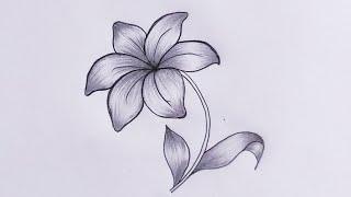 How To Draw A Lily Flower Drawing Step By Step Tutorial | Flower drawing for beginners