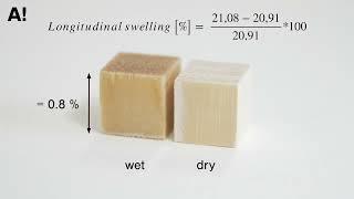 Measuring wood dimensional changes