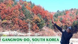 Autumn in South Korea