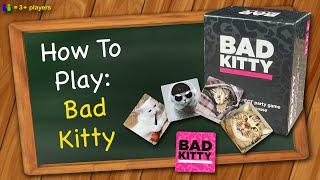 How to play Bad Kitty