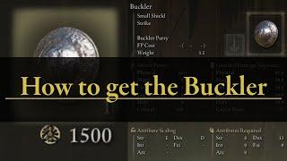 Buckler Shield - Where to Find Buy Purchase Store Merchant