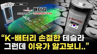 전기차 헤게모니를 쥔 테슬라의 LFP배터리 변경, K-배터리는 과연 이대로 무너질 것인가?