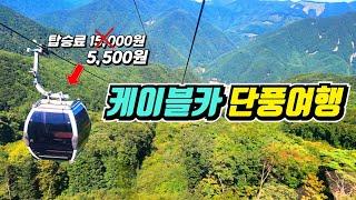 5,500원으로 편하게 단풍구경 다녀오세요 | 가족여행으로 강추 | 콧등치기국수와 모듬전 먹방