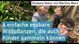 6 einfache & sichere Wildkräuter für Kinder & Eltern – Tipps & Grundregeln zum erfolgreichen Sammeln