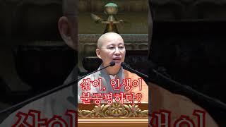 [원영스님 금강경 법문] 당나귀에게 물었다. "세상은 불공평한가요?" #불공평 #명언 #삶의지혜