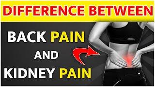 What is The Difference Between Back Pain And Kidney Pain | Kidney expert