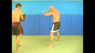 The power of Bas Rutten(HD)