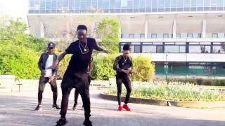 Afro Djmix Dance. Lamaya  (Next Levo dance crew)