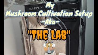 My Mushroom Cultivation Setup (The Lab)