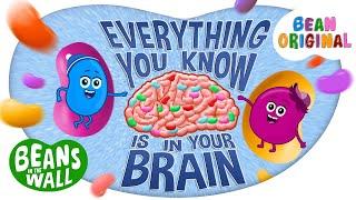 Everything You Know is in Your Brain | Kids Songs | Beans in the Wall