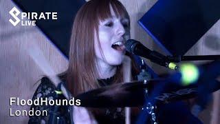 FloodHounds (Full Set HD) // Pirate Live // Pirate Studios