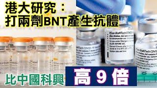 香港大學研究：打兩劑BNT疫苗產生的抗體　比中國科興疫苗高出9倍 | 台灣新聞 Taiwan 蘋果新聞網