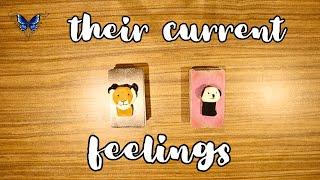  THEIR CURRENT  FEELINGS   Timeless Tarot Reading 