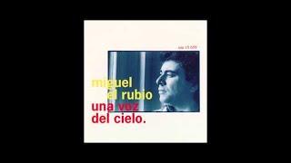 Miguel El Rubio - Qué Culpa Tengo