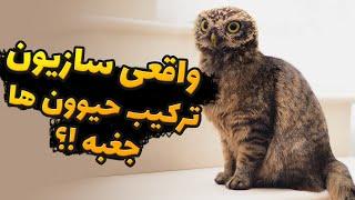 واقعی سازی ایده های شما در فتوشاپ | روند ساخت عجیب ترین حیوانات جهان