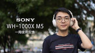 SONY WH-1000X M5 Review: My Must-pack For Travel