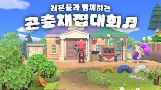 레온아 각오해라 | 모여봐요 동물의 숲 곤충채집대회