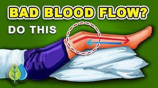 Increase Blood Flow to Legs and Feet Without Exercises!