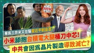 中共晶片做越多倒越快？【小米跪抱台積電大腿？】習近平芯片大夢慘輸台灣美國，重演蘇聯崩潰！華為3奈米又騙補助割韭菜？中芯準備連賠20年？良率30%拖垮財報？半導體爭霸85中國仆街207