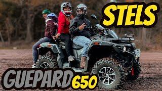  Stels Guepard 650 || Daten & Fakten || Fahrzeugvorstellung || Quad-Vlog #104